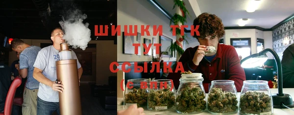 тгк Володарск