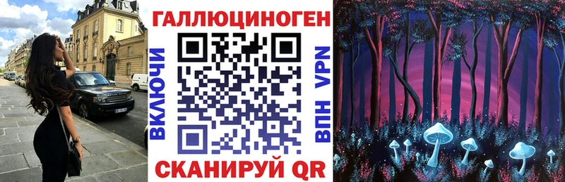 закладки  Карпинск  МЕГА как войти  Псилоцибиновые грибы GOLDEN TEACHER 