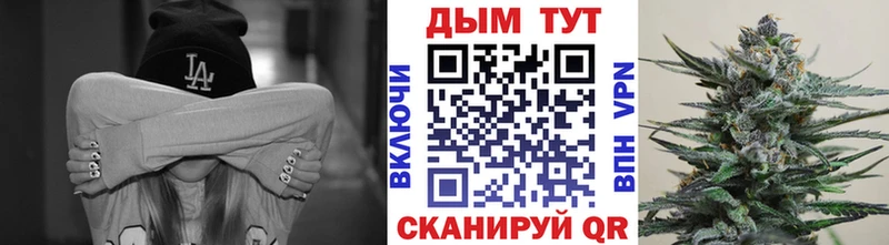 Конопля конопля Карпинск